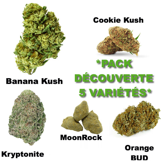 Pack Découverte