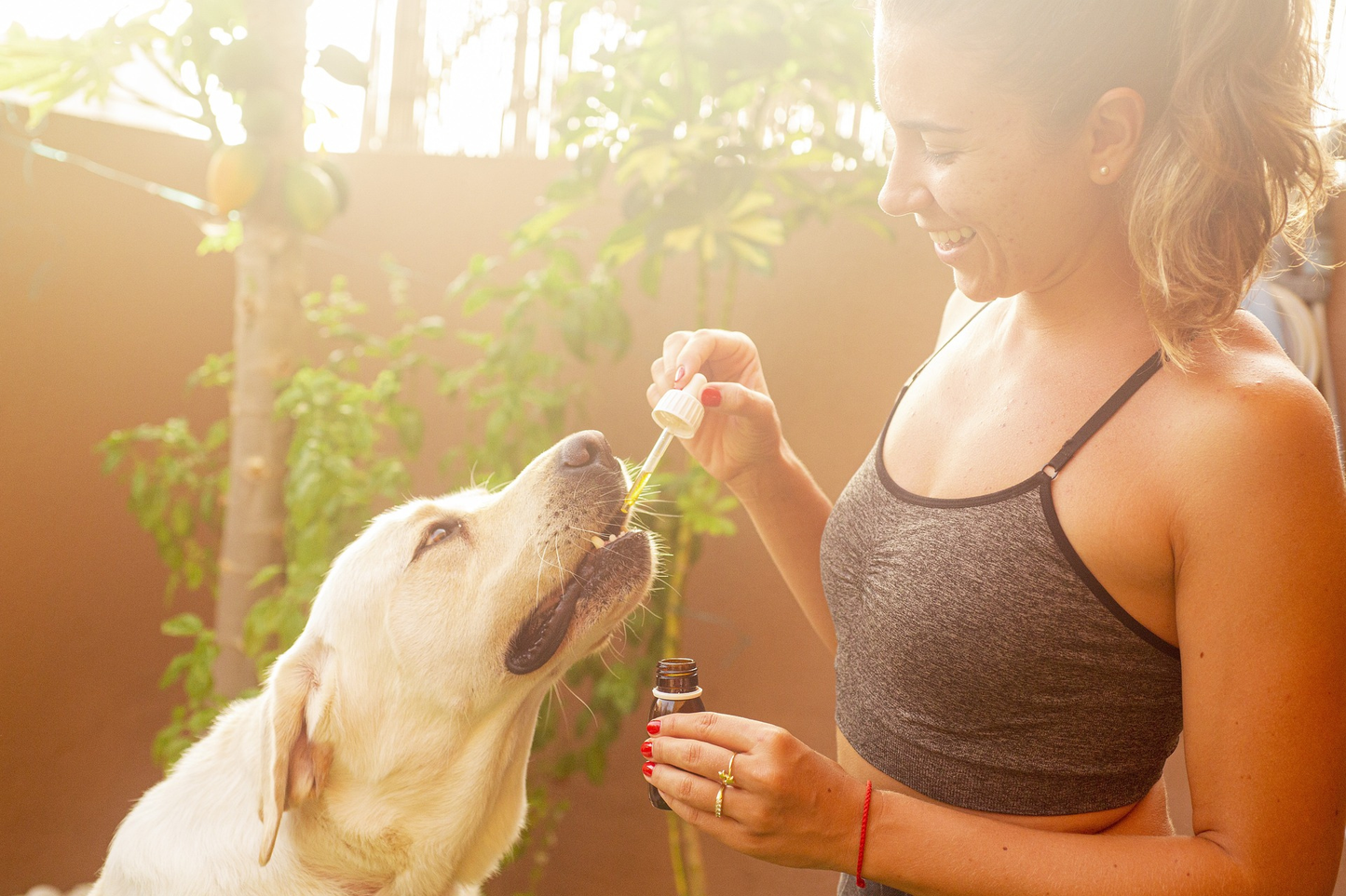 Huile de CBD pour Chien 10% BIO (Goût Poulet)