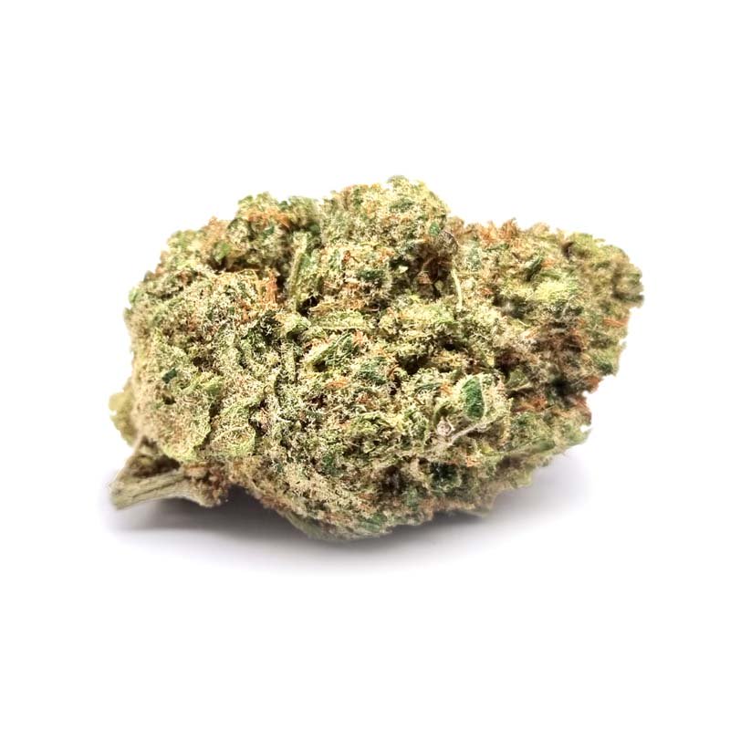 White Widow (Intérieur)