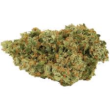 Jack Herer (Sous-serre)